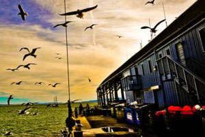 云呼讨债神器软件